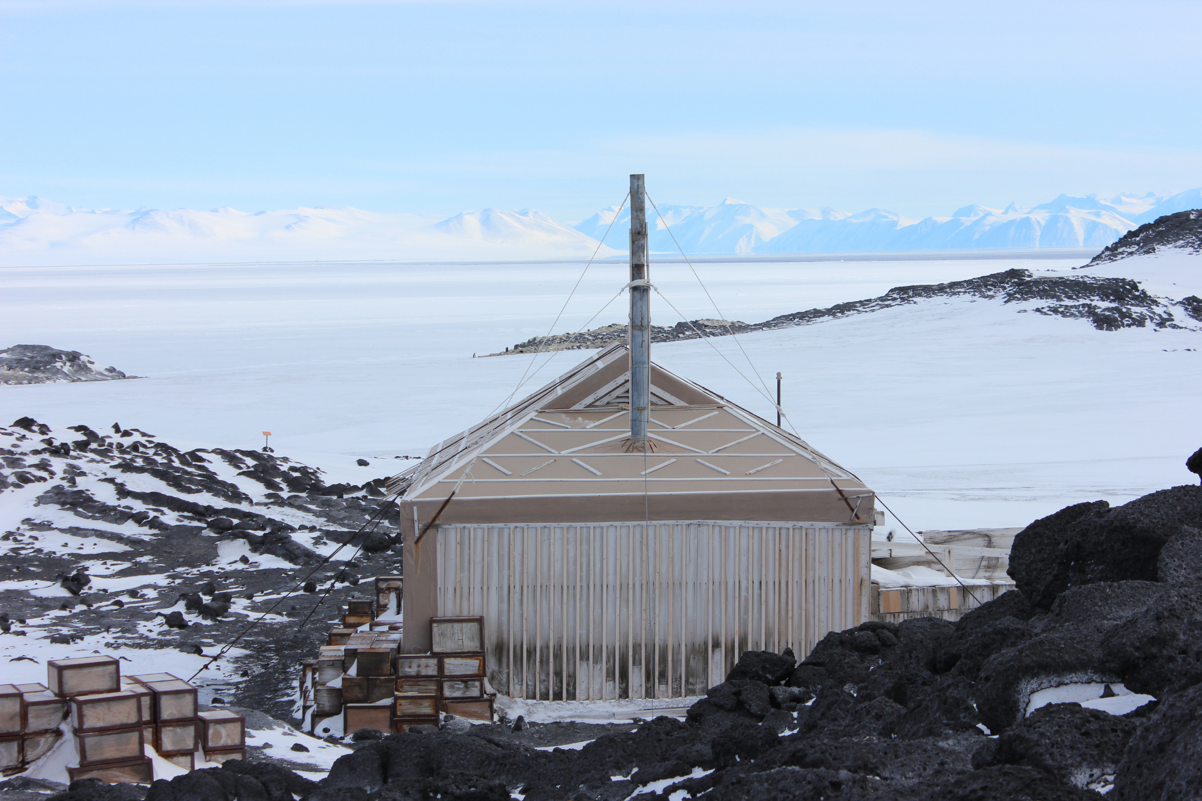 cape royds, ross island (4).webp
